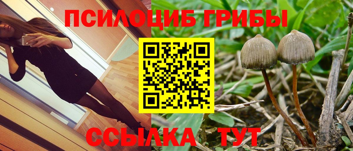 Лангепас  Псилоцибиновые грибы мицелий  Галлюциногенные грибы мицелий  Вход с VPN 